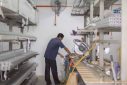 Worker In BLENO Factory JB